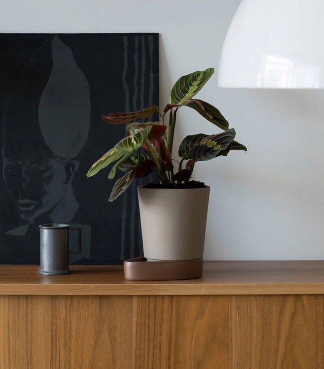 Sip Plant Pot - Image 4