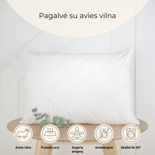 Pagalve aviu vilnos SUPERWASH